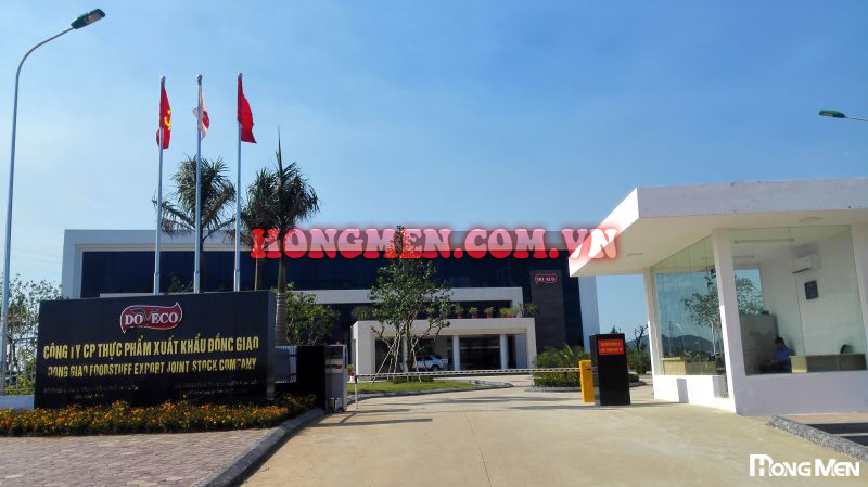 Công Ty Cổ Phẩn Thực Phẩm Xuất Khẩu Đồng Giao