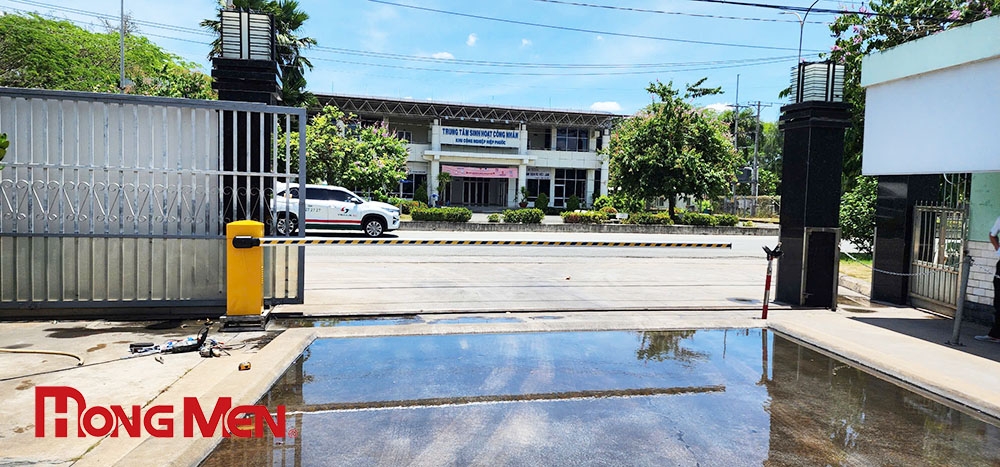 CÔNG TY XUẤT NHẬP KHẨU HAI THANH