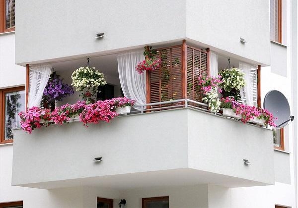 Gợi ý thiết kế ban công đẹp cho nhà ống